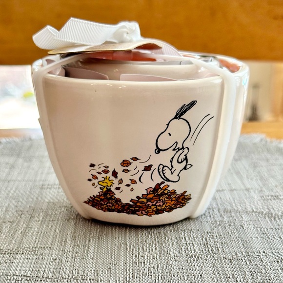 Rae Dunn Peanuts Snoopy Charlie Brown Fall Leaves Measuring Cups 4 Designs NEW! - Picture 1 of 10